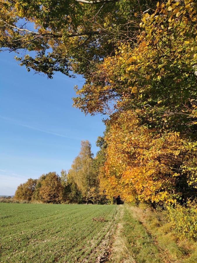 Hygge House Villa Zator Kültér fotó